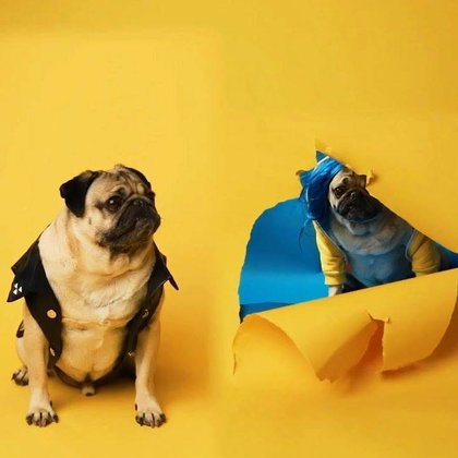 Tweet card summary image