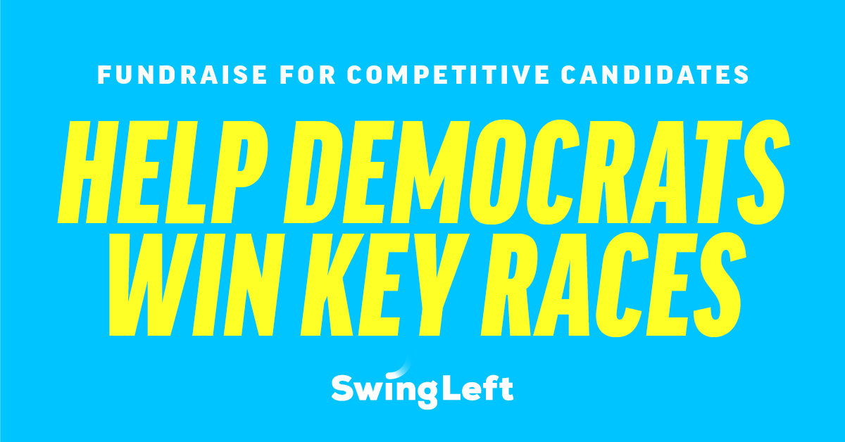 BluesBoySteve's tweet card. Early money matters. I'm raising money through Swing Left to elect Democrats up and down the ballot. Help me meet my goal!