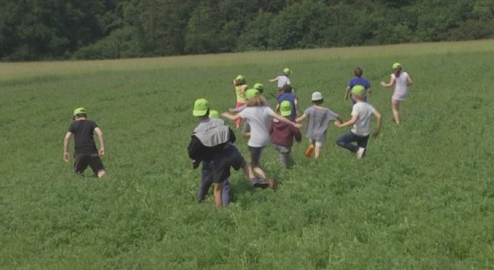 MassembreHeer's tweet card. Pour découvrir la biodiversité, mieux vaut gambader dans les champs. Dans la commune d'Hastière, le Domaine de Massembre a créé une prairie pour apprendre aux enfants le rôle des pollinisateurs.