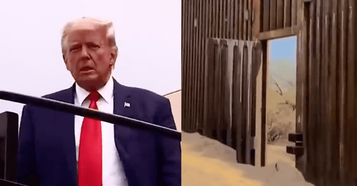 MeidasTouch's tweet card. The organization said Trump is "on the side of the cartels, coyotes and child traffickers."