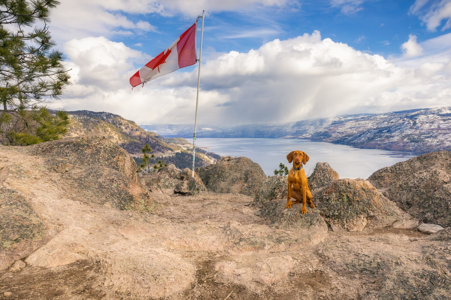 BestEverGuide's tweet card. As Kelowna locals, we know where all the best Kelowna hikes are. For many people, heading to the beach or the lake is the best thing to do in Kelowna, but for