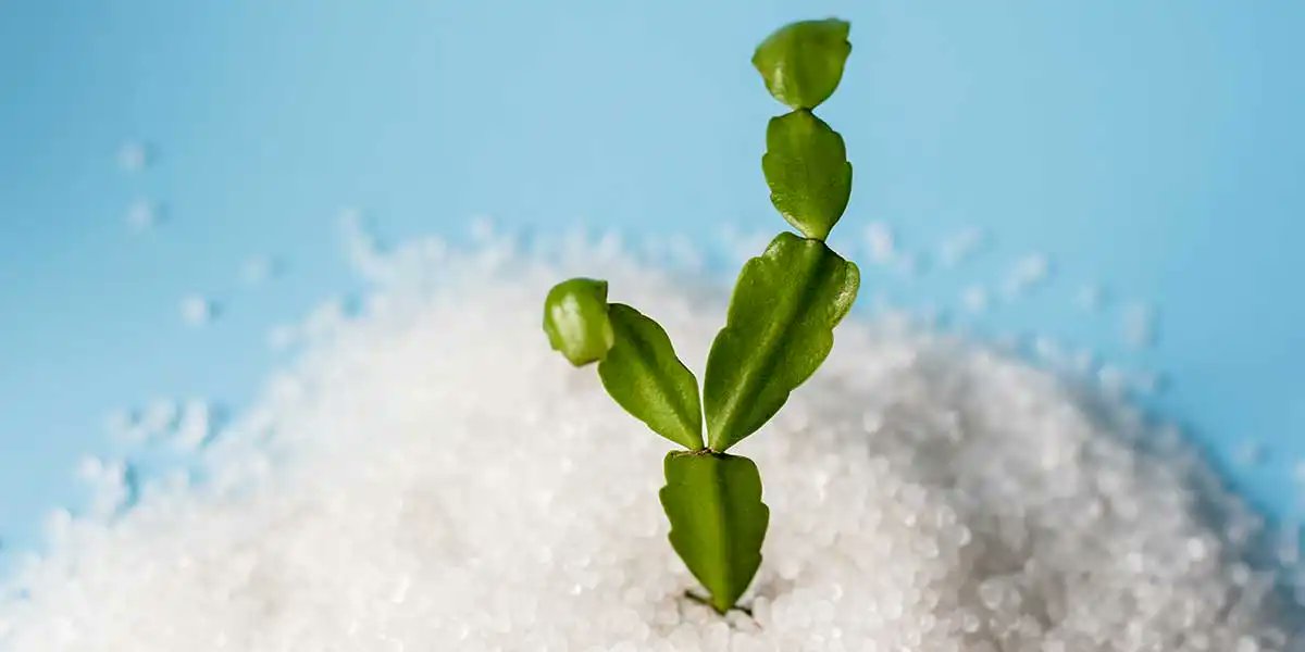 bccresearch's tweet card. Global market volumes of biodegradable polymers are projected to increase from 1,286.0 kilotons in 2023 to 4,140.0 kilotons by 2028, at a CAGR of 26.3%.