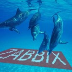 Zbxtutorials's tweet card. Aurimas Mikalauskas shares optimizations that will help you optimize MySQL for Zabbix.