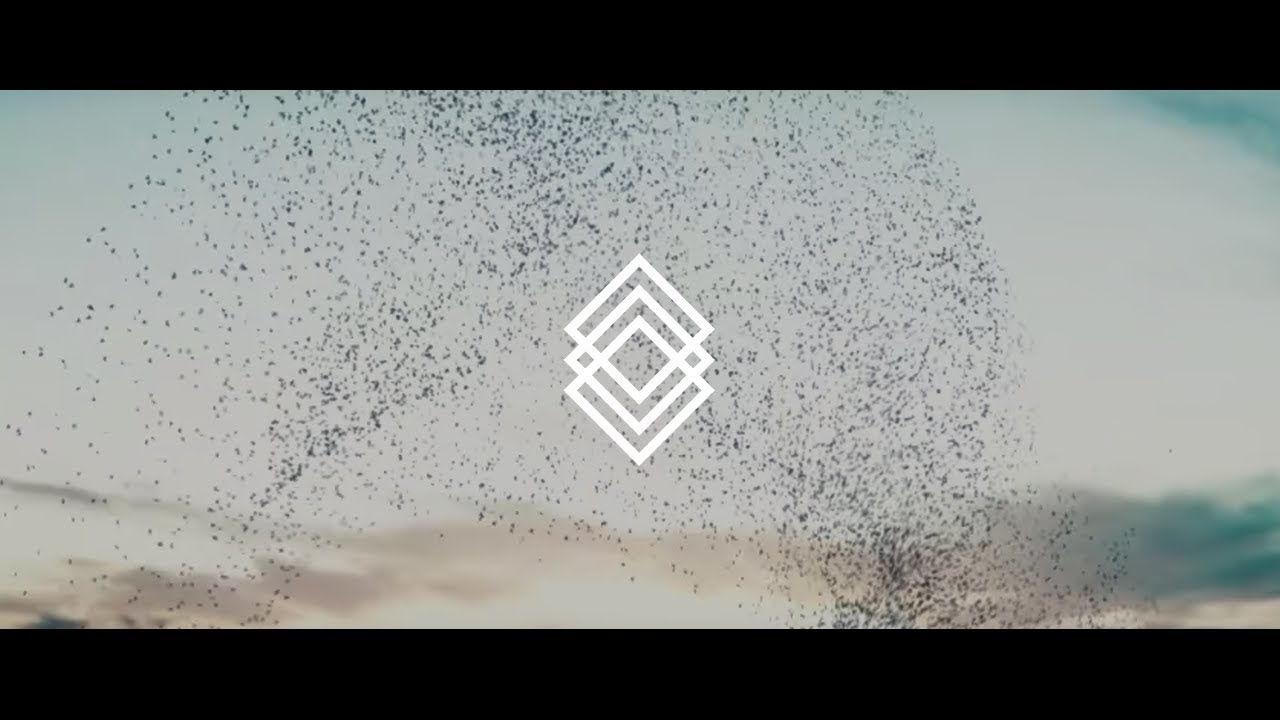 daostack's tweet card. Introducing DAOstack