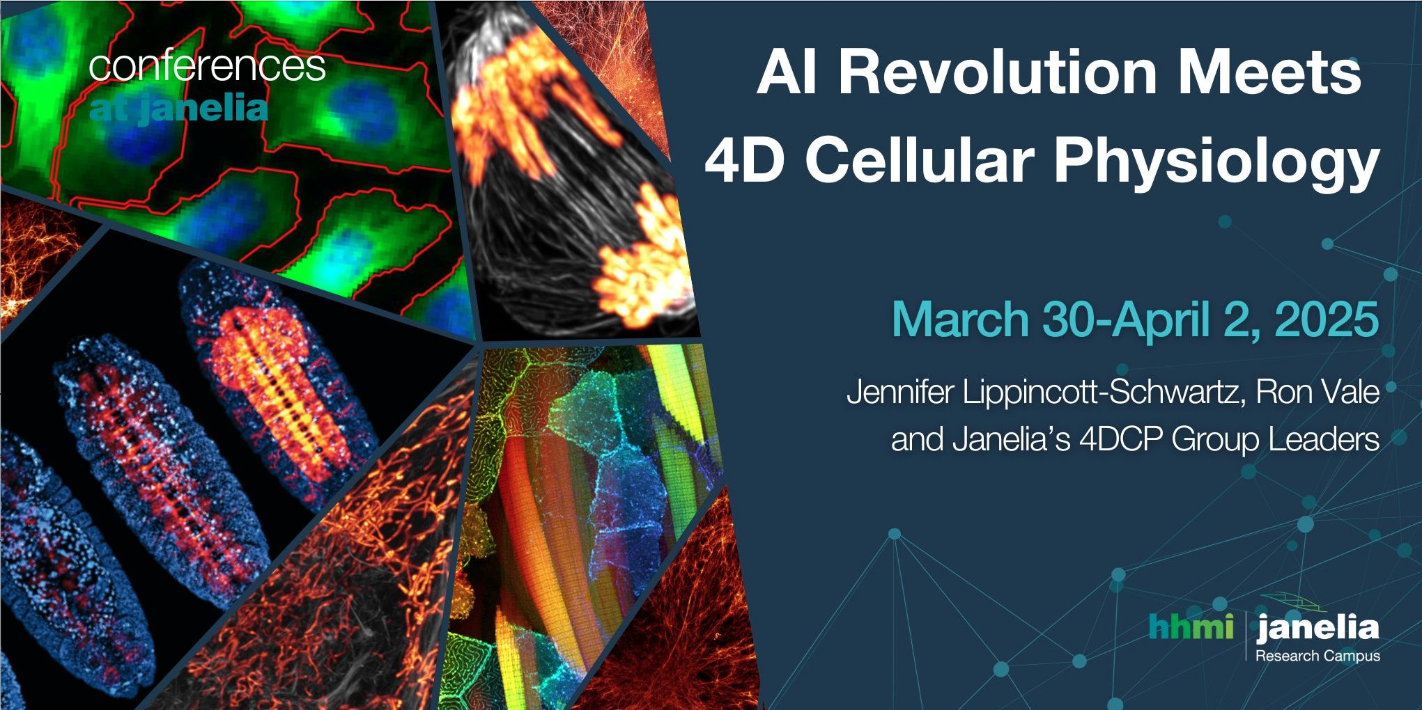 janeliaconf's tweet card. Organizers Jennifer Lippincott-Schwartz, HHMI/Janelia Research Campus Ronald Vale, HHMI/Janelia Research Campus Janelia’s 4DCP Group Leaders (*indicated below) Invited Participants *Alejandro