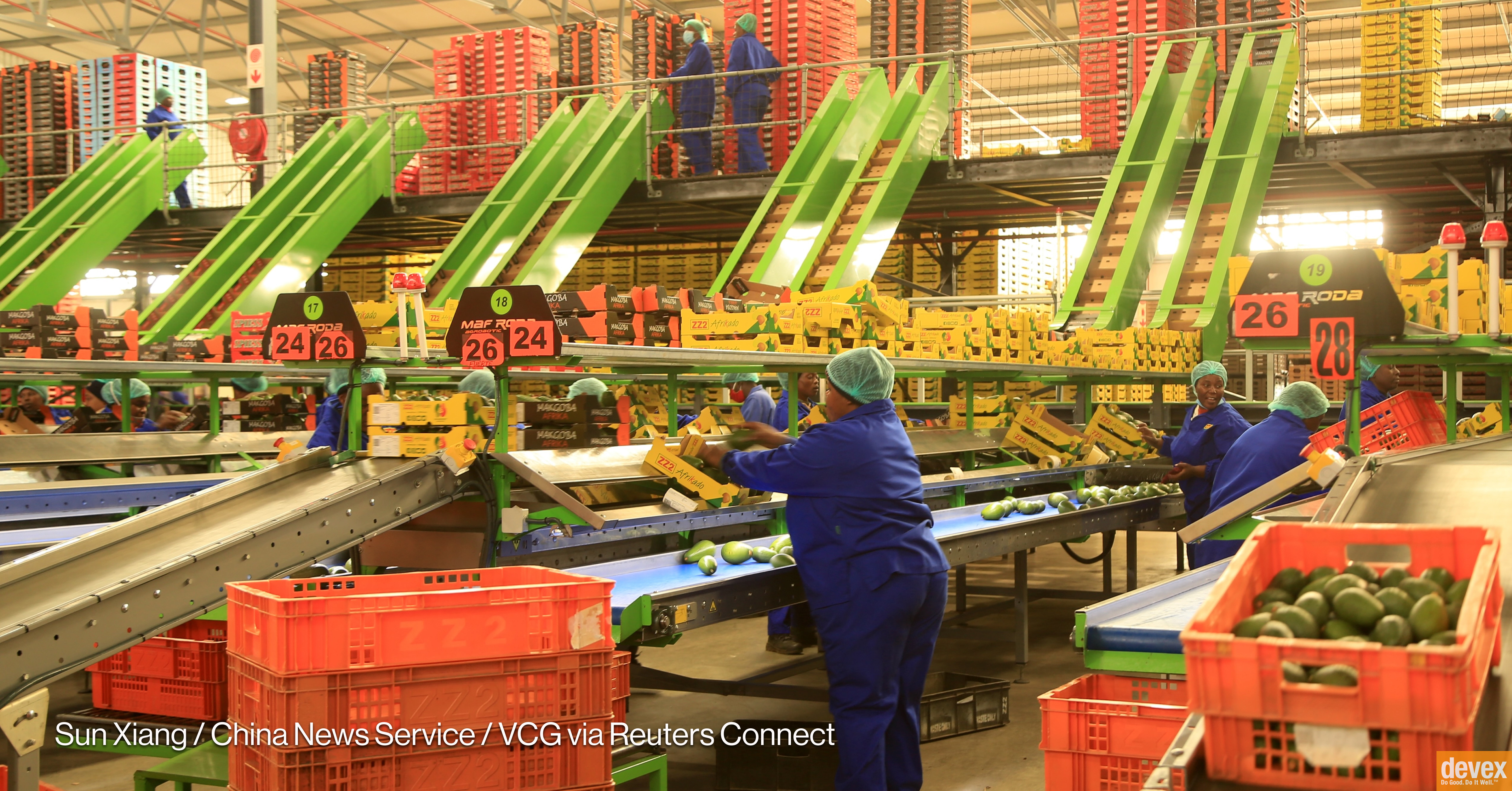 aruhweza's tweet card. Opinion: Crushing debt in Africa is diverting resources from agriculture — the continent's greatest potential. The G20 summit is a test of whether the world will finally allow Africa to invest in its...