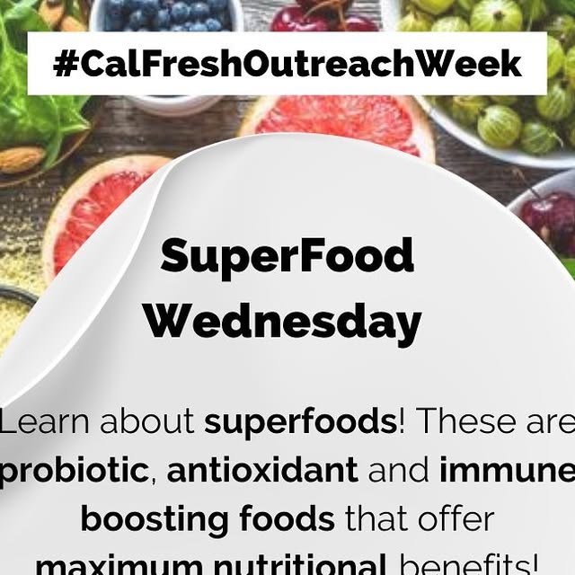 CSUNCalFresh's tweet card. CSUN CalFresh Outreach (@csuncalfreshoutreach) • Instagram photos and videos