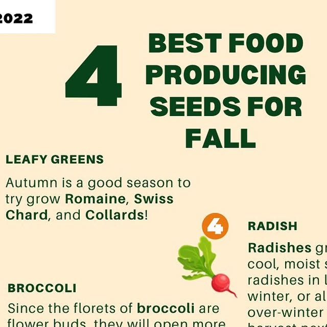 CSUNCalFresh's tweet card. CSUN CalFresh Outreach (@csuncalfreshoutreach) • Instagram photos and videos