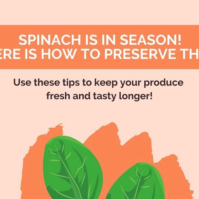 CSUNCalFresh's tweet card. CSUN CalFresh Outreach (@csuncalfreshoutreach) • Instagram photos and videos