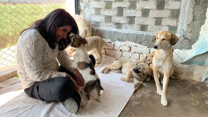tawf_uk's tweet card. Stray, abused, and injured animals in Pakistan are suffering ever… Tahira Rasul needs your support for Help Build Sanctuary to Relocate TAWF’s Shelter Animals