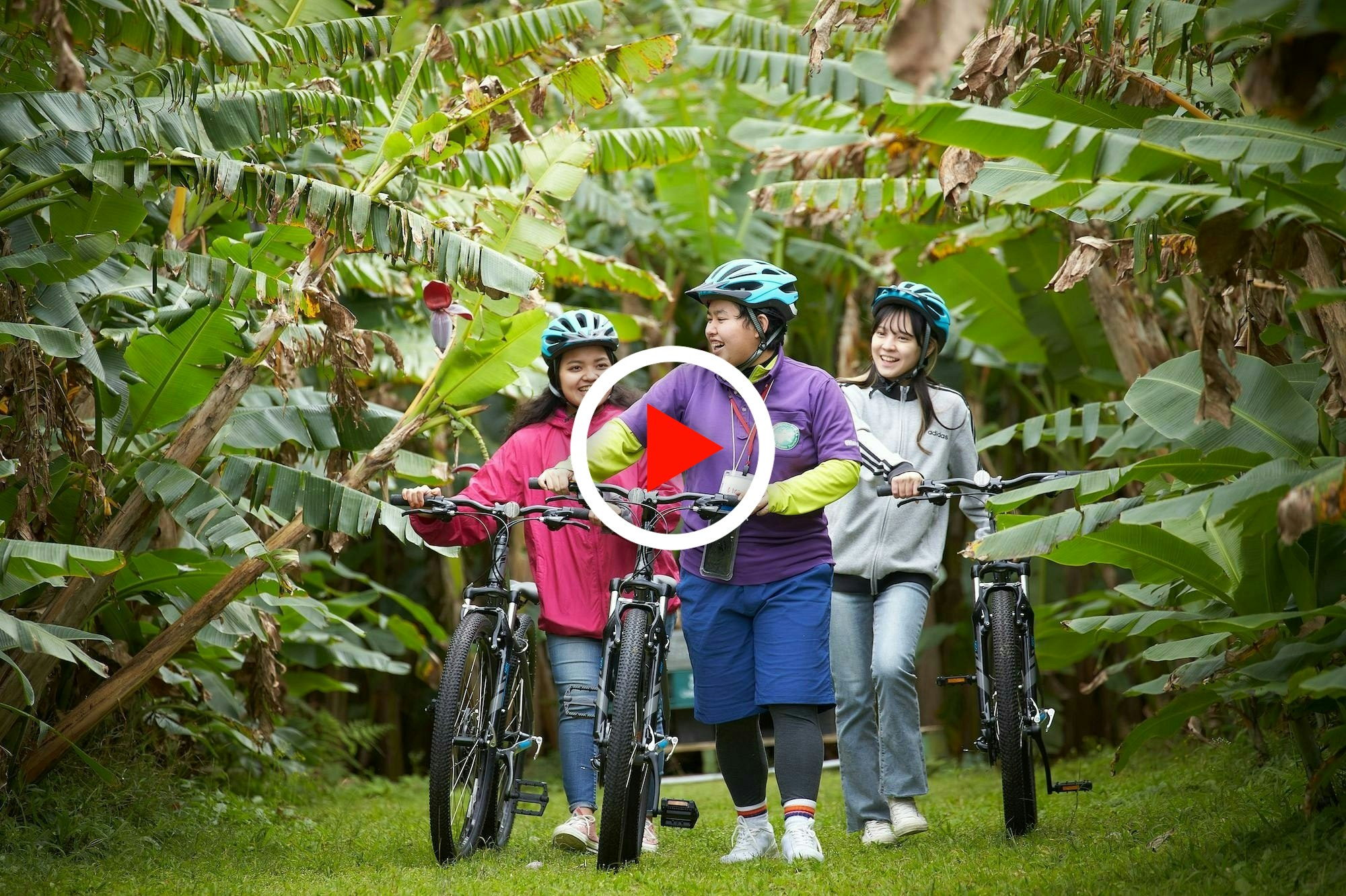 CJV_en's tweet card. The video introduced in this article begins with lighthearted cycling footage that showcases the great nature of Ogimi Village in Okinawa, Japan. It shows how you can experience the food and activi...