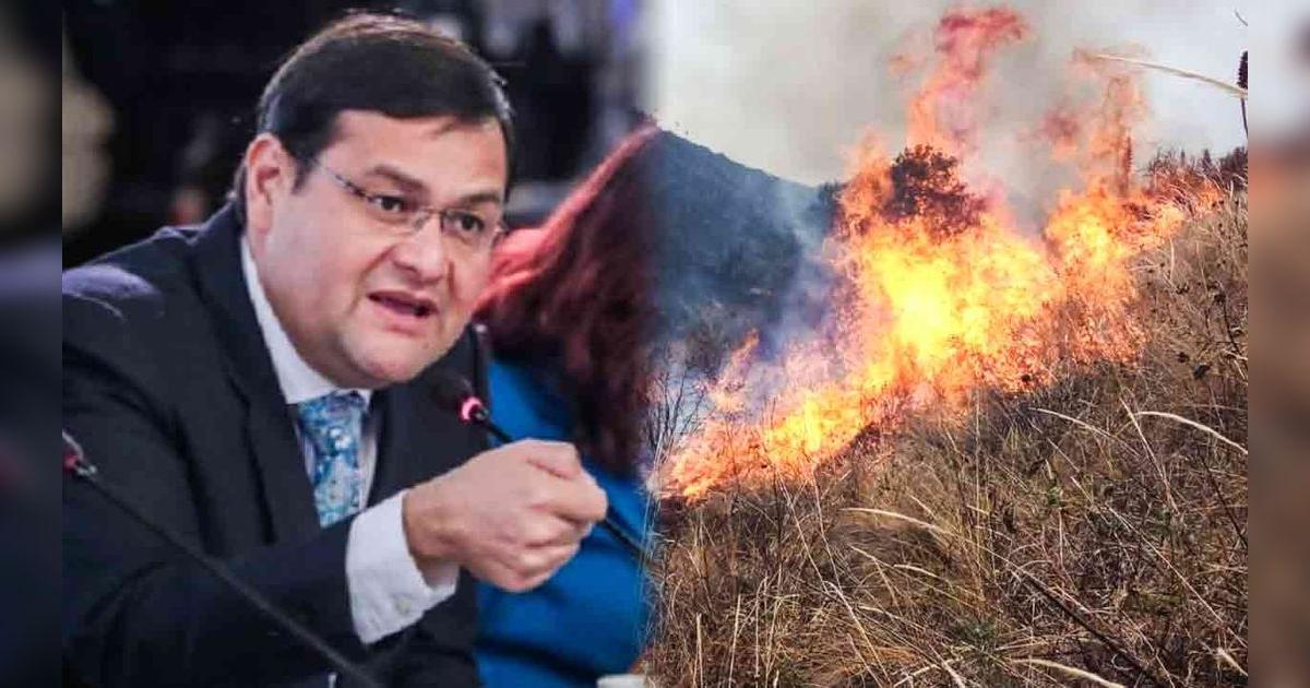 larepublica_pe's tweet card. El gobernador de Lambayeque solicita al Gobierno declarar estado de emergencia por incendios forestales en Incahuasi, donde más de 120,000 plantones y ganado fueron afectados.