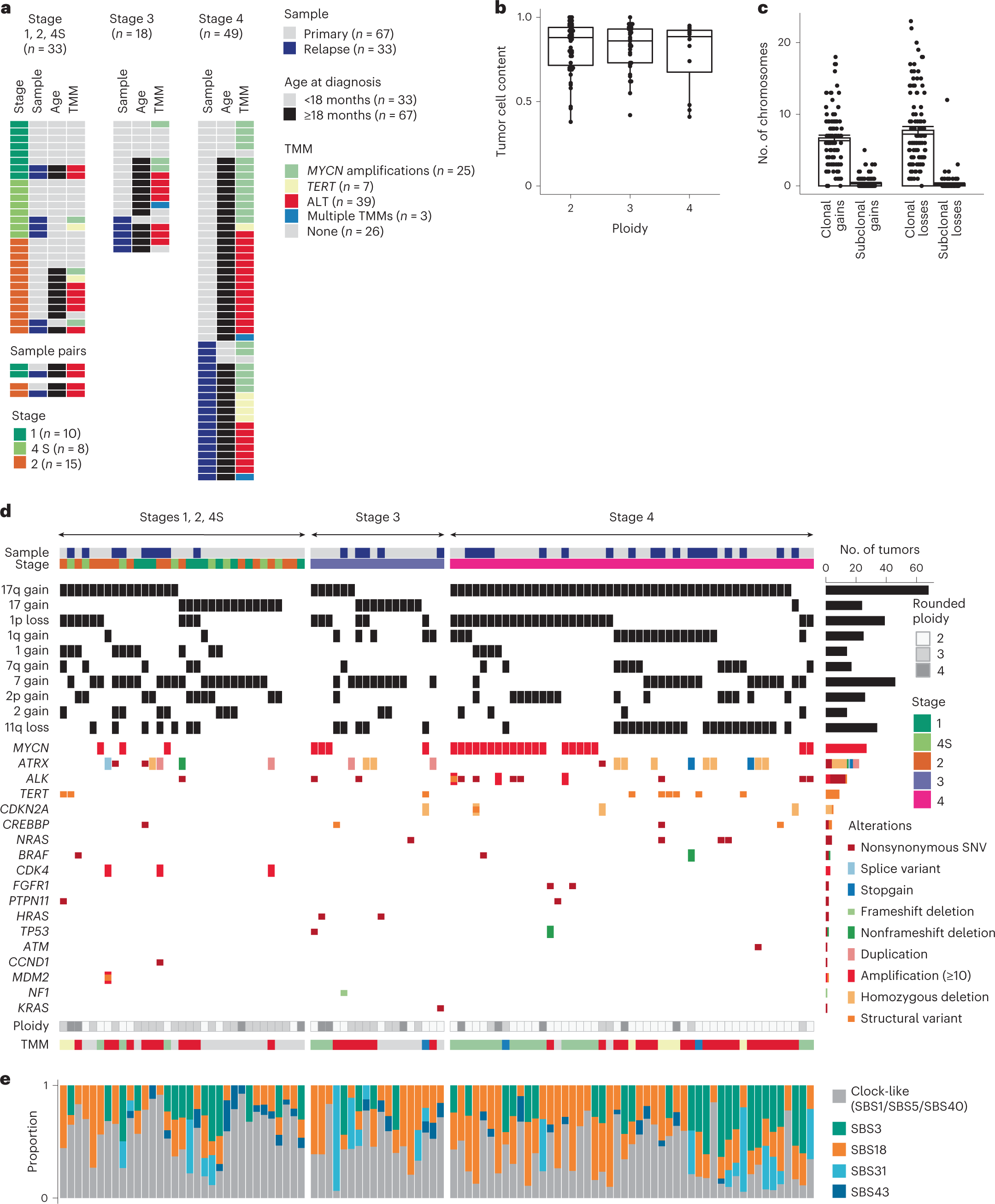 NatureGenet's tweet card. Nature Genetics - Somatic evolutionary analysis of neuroblastoma, a pediatric tumor, proposes a common fetal time of origin. Notably, high-risk tumors exhibit early genomic instability and...