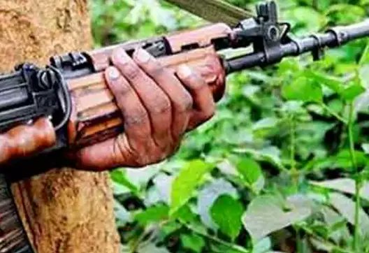 Six Maoists Killed in Encounter in Maredumilli Forests
