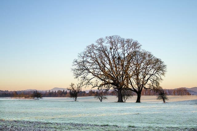 configbug's tweet card. Human activity recognition is the problem of classifying sequences of accelerometer data recorded by specialized harnesses or smart phones into known well-defined movements. Classical approaches to...