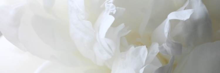 Juno_oracle's tweet card. 恋愛／その他のお悩みに対しまして、タロットやオラクルカードを使用して占います。 ご相談内容によっては、その他の占術も組み合わせて多角的な視点から占っております。 少しでもお気持ちが軽くなれますよう心を込めて鑑定致しますので、どのようなお悩みでもお気軽にお声掛け下さい🪷☽:ﾟ