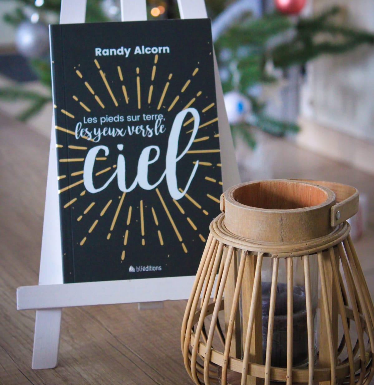 BLFEditions's tweet card. Pour ce mois de mai, nous avons le plaisir de t'offrir l'accès à l'ebook Les pieds sur terre et les yeux vers le ciel de Randy Alcorn. Un excellent livre qui parle de la fin des temps, la vie après...