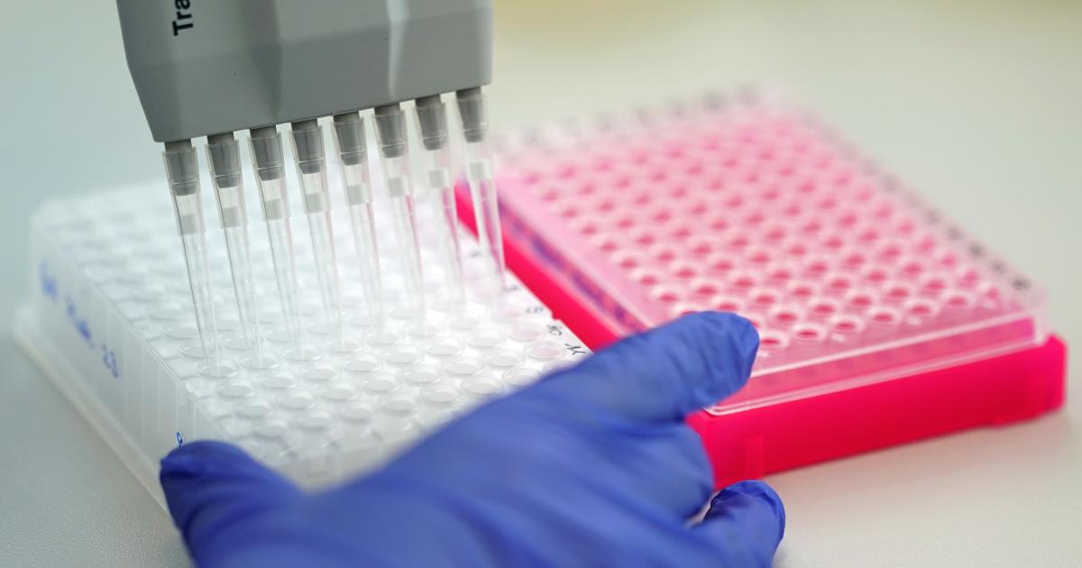 futurezoneat's tweet card. Apotheken hatten Zugriff auf die Daten von allen Menschen in Österreich, die das Portal für Corona-Tests nutzten.