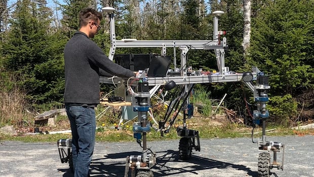 NexusRoboticsCa's tweet card. A new robot that uses artificial intelligence to detect and fight weeds was designed to help farmers tackle troublesome weeds in their fields.