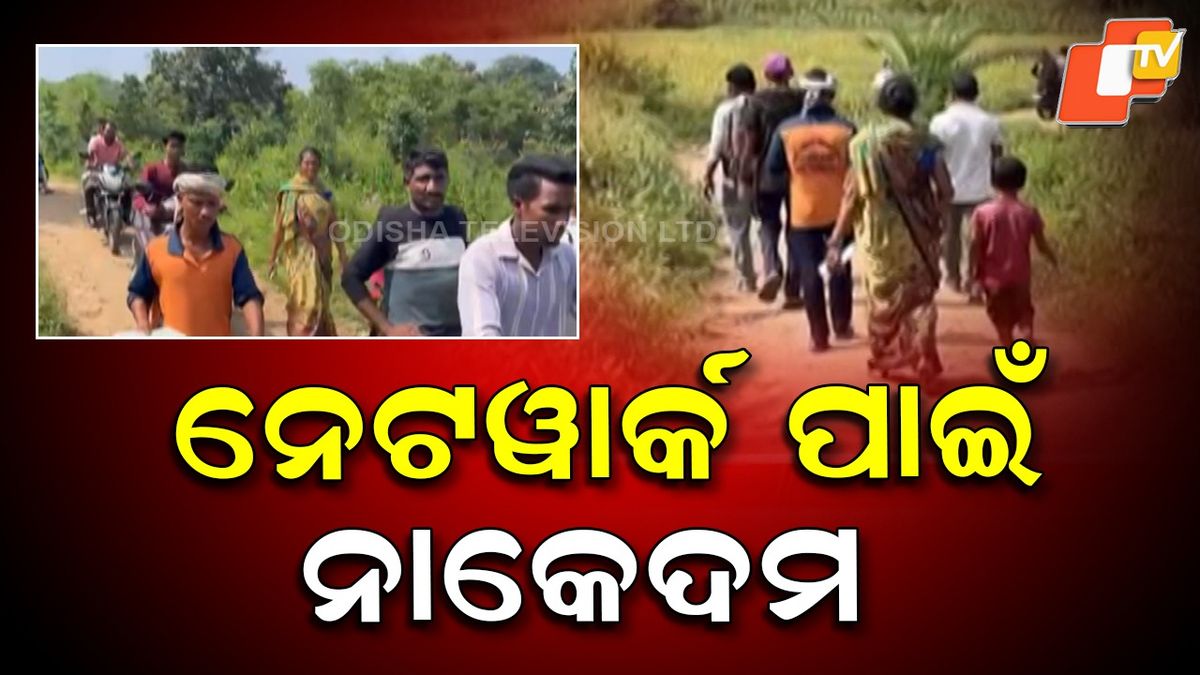 otvkhabar's tweet card. ଓଡିଶା- ଟାୱାର ଅଛି ହେଲେ ଆସୁନି ନେଟୱର୍କ। ଗାଁ ଭିତରେ ଧରୁନି ମୋବାଇଲ ନେଟୱର୍କ। ଏକ ନିର୍ଦ୍ଧିଷ୍ଟ ଗଛ ମୂଳେ ବସିଲେ ନେଟୱର୍କ ଧରୁଛି। ଇ-କେୱାଇସି ପାଇଁ ଘାଟି ଚଢ଼ୁଛନ୍ତି ଉପାନ୍ତ ଅଂଚଳର ଗ୍ରାମବାସୀ।