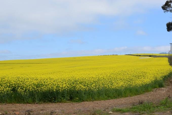 alexarsolutions's tweet card. Find more inspiring images at VIEWBUG - the world’s most rewarding photo community.