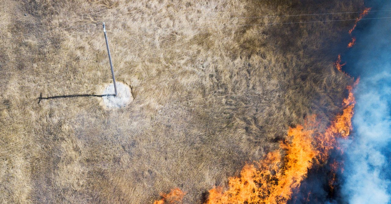 LaderaTech's tweet card. Spray the flame-retardant goo on vegetation, and it’ll protect the plants from igniting for months.