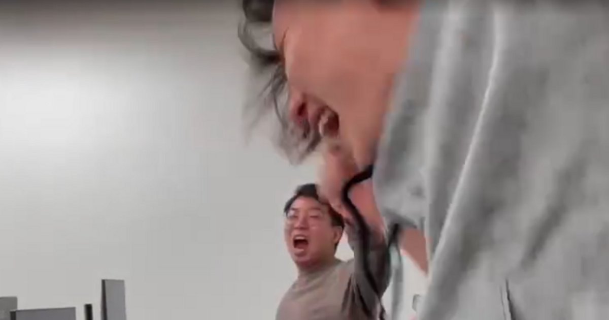 jun_shiba_'s tweet card. 過去最高売上達成！トップラインがどんどん上がってます！写真がだいぶブレてしまいましたが、過去最高売上の目標達成をした瞬間のキャプチャです。笑嬉しくてメンバーが飛び跳ねて叫んでいます笑我々の業務は...