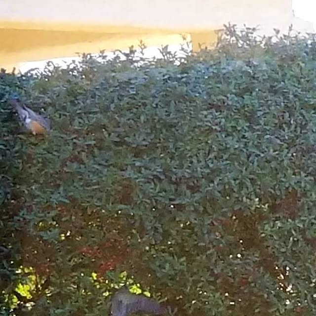 CSCisHome's tweet card. AnnaMarie Mudd (@cscishome) • Instagram photos and videos