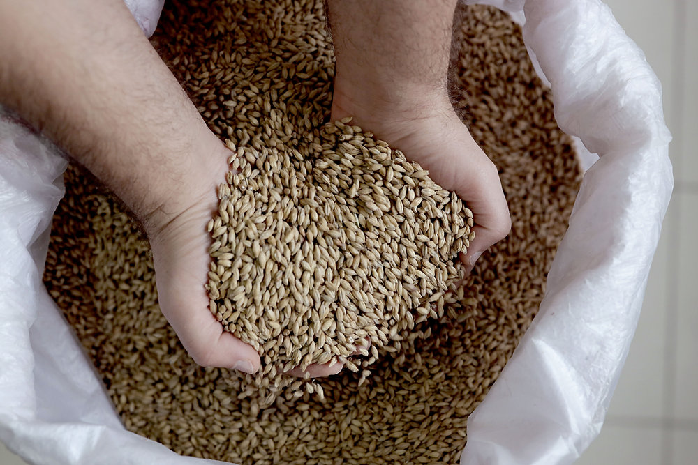 MarksDogBlog's tweet card. The pet food industry is full of confusing terminology, and it can be hard to know what's best for your furry friend. One of the most contro