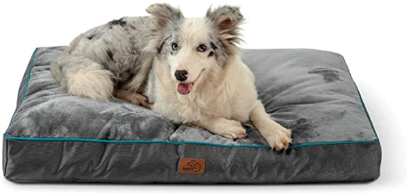 MarksDogBlog's tweet card. Have you ever wondered why it's so important to wash your dog's bed? Well, think about it this way - would you want to sleep in a bed that was covered in hair, dirt, and drool? Probably not! Just...
