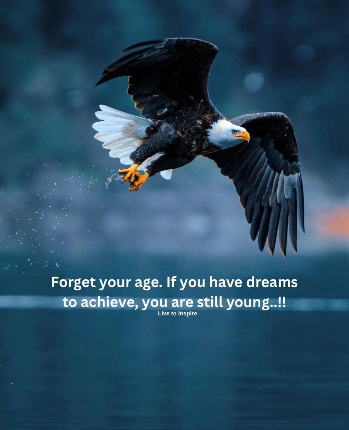 FreddyLRobinso7's tweet card. Forget your age. If you have dreams to achieve, you are still young..!!💪🏻💫💯 #livetoinspire #inspirationalquotes #motivationalquotes #wisdomquotes #lifelessons #positiveminds #positivethoughts |...