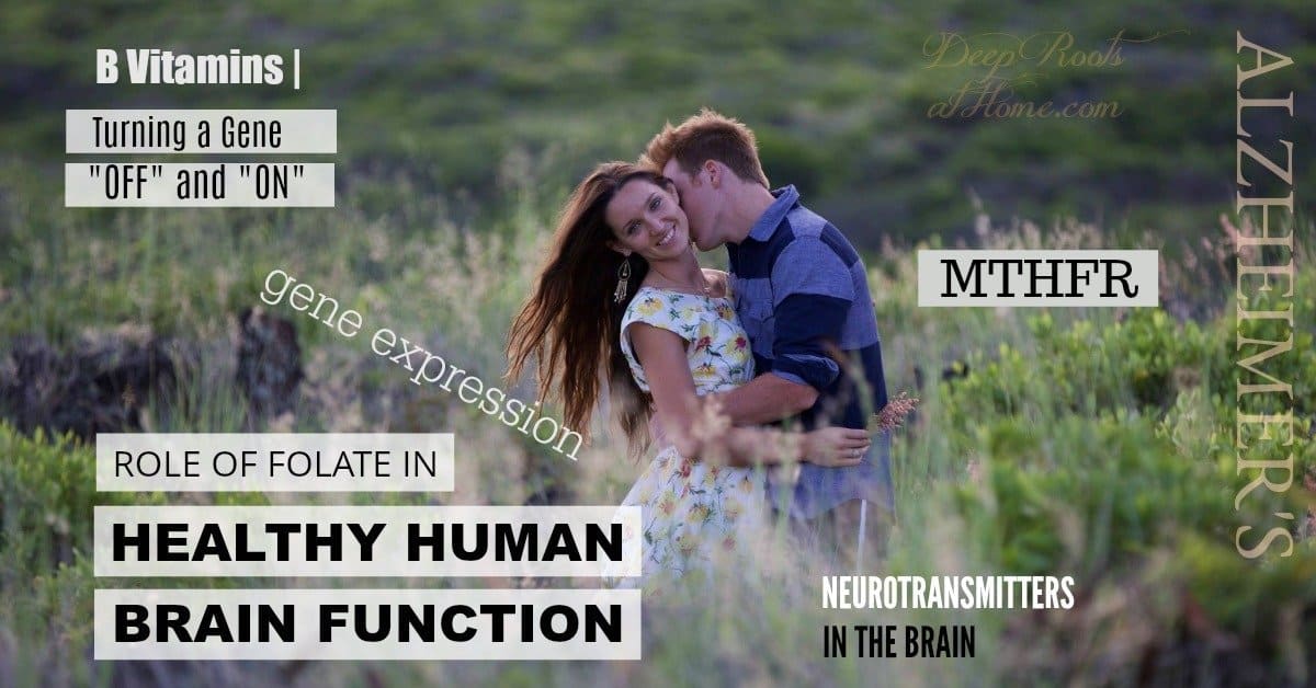 deeprootsathome's tweet card. B vitamins including folate are critical for healthy genetics & turning genes "on" and "off". I mean it actually can modify gene expression.