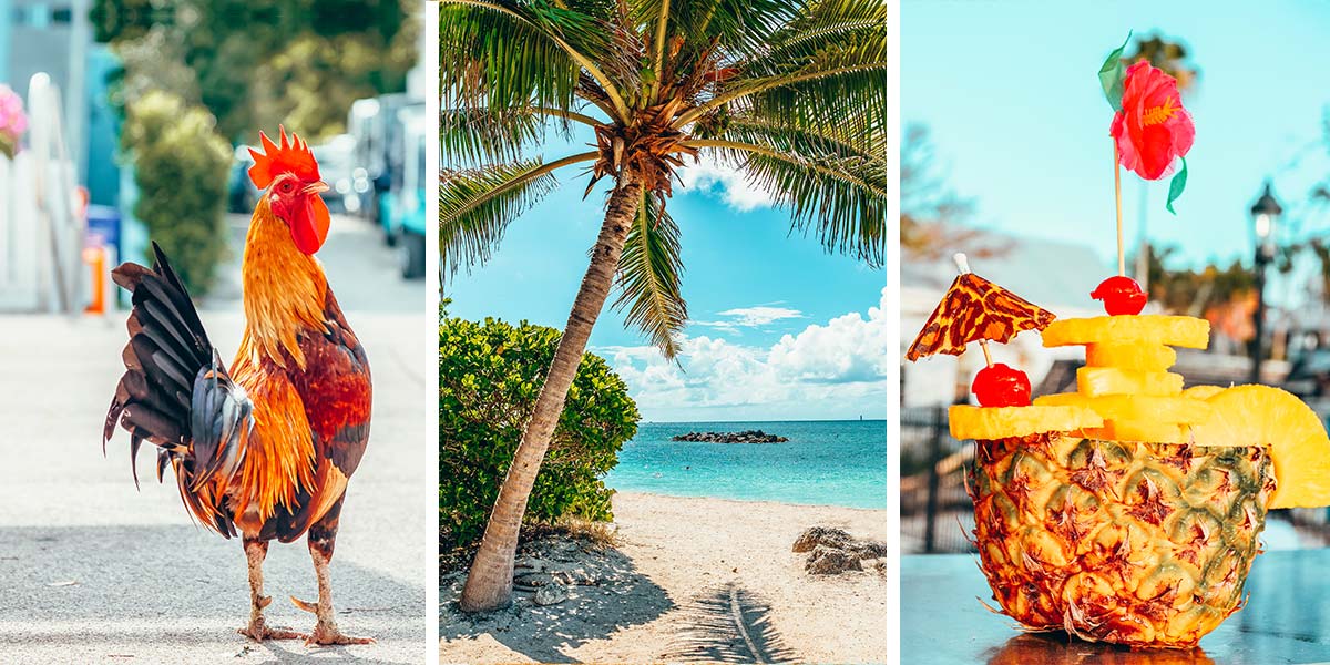practicalwander's tweet card. Colorful coral reefs. Six-toed cats. A haunted doll. All the quirkiest, best things to do in Key West, & everything you need to know to plan your trip!