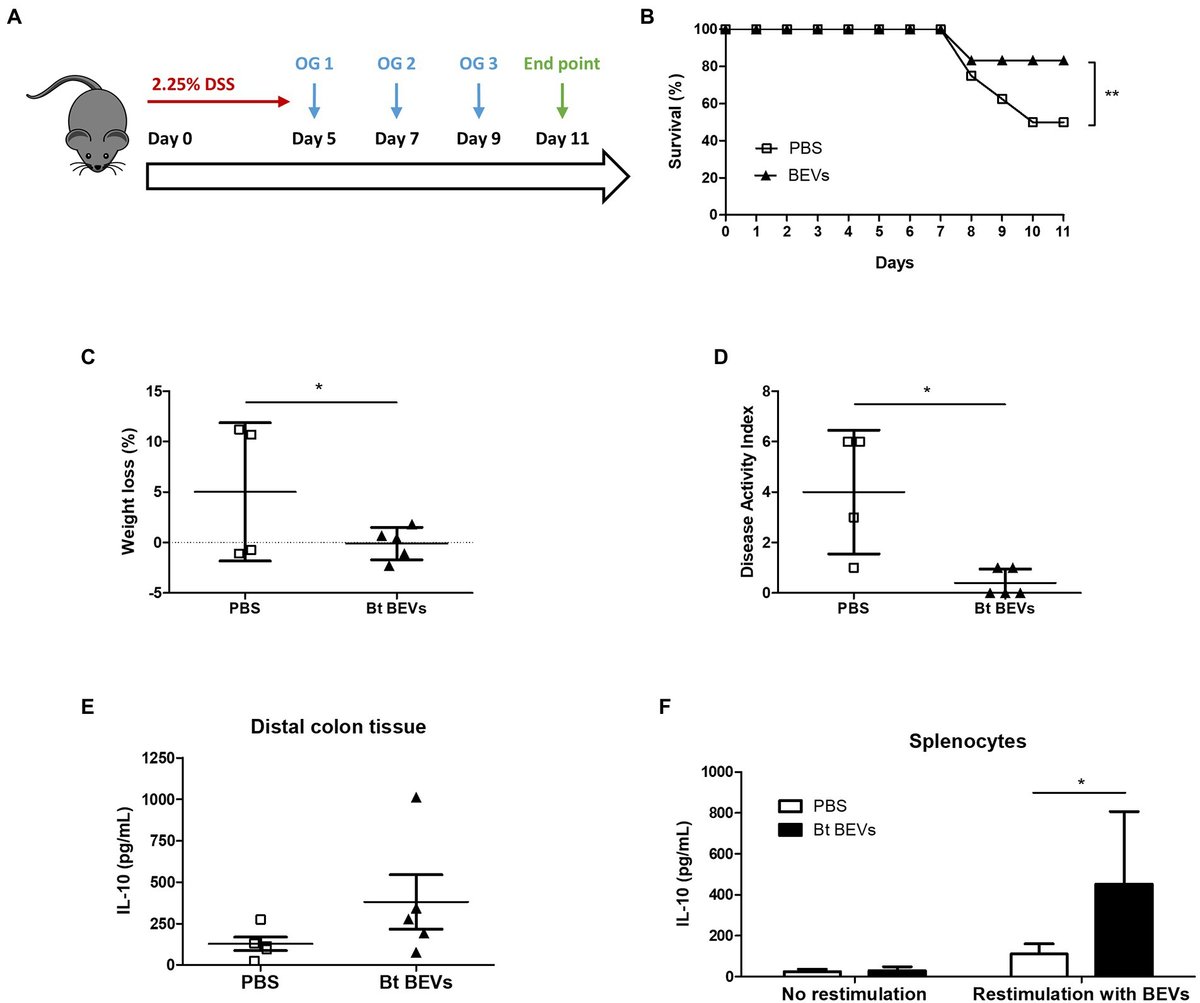 CardingLab's tweet card. Bacterial extracellular vesicles (BEVs) produced by gut commensal bacteria have been proposed to play an important role in maintaining host homeostasis via i...