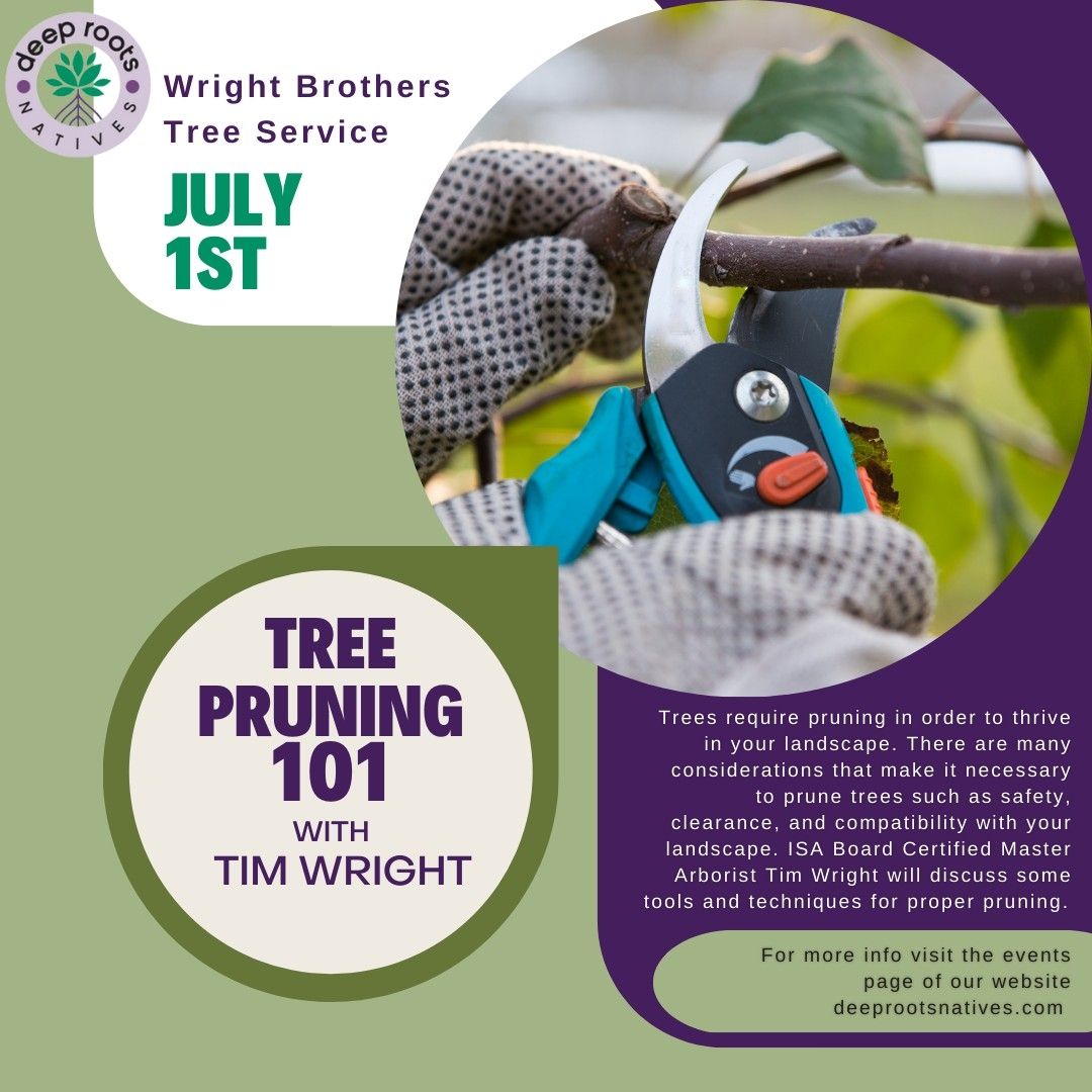 LocalTreeDoctor's tweet card. Join us for a tree care class on Saturday at 11 am.