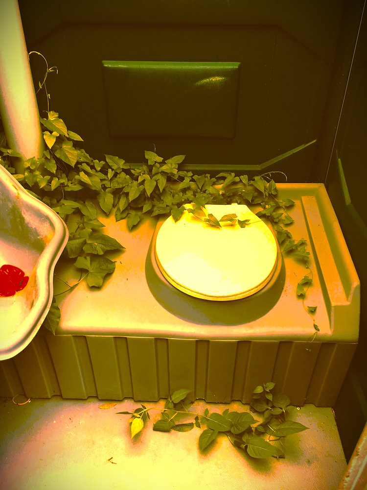 Dococococ's tweet card. You are four thousand feet above sea level and climbing, and breathing in light, mountain air [...]