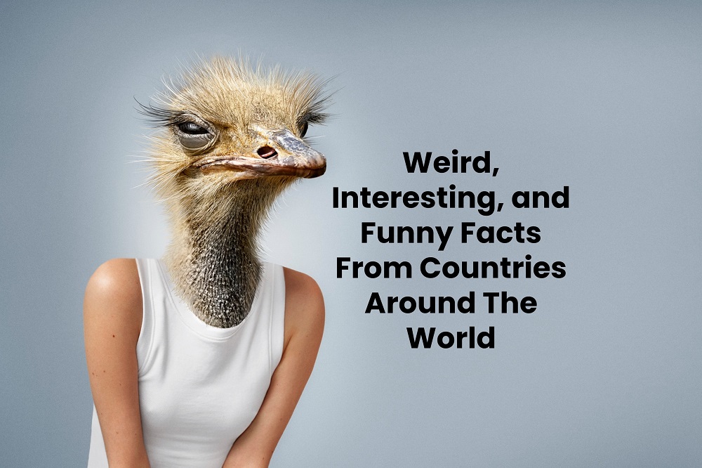blistdotcc's tweet card. Weird, interesting, and funny facts from countries around the world 🌍