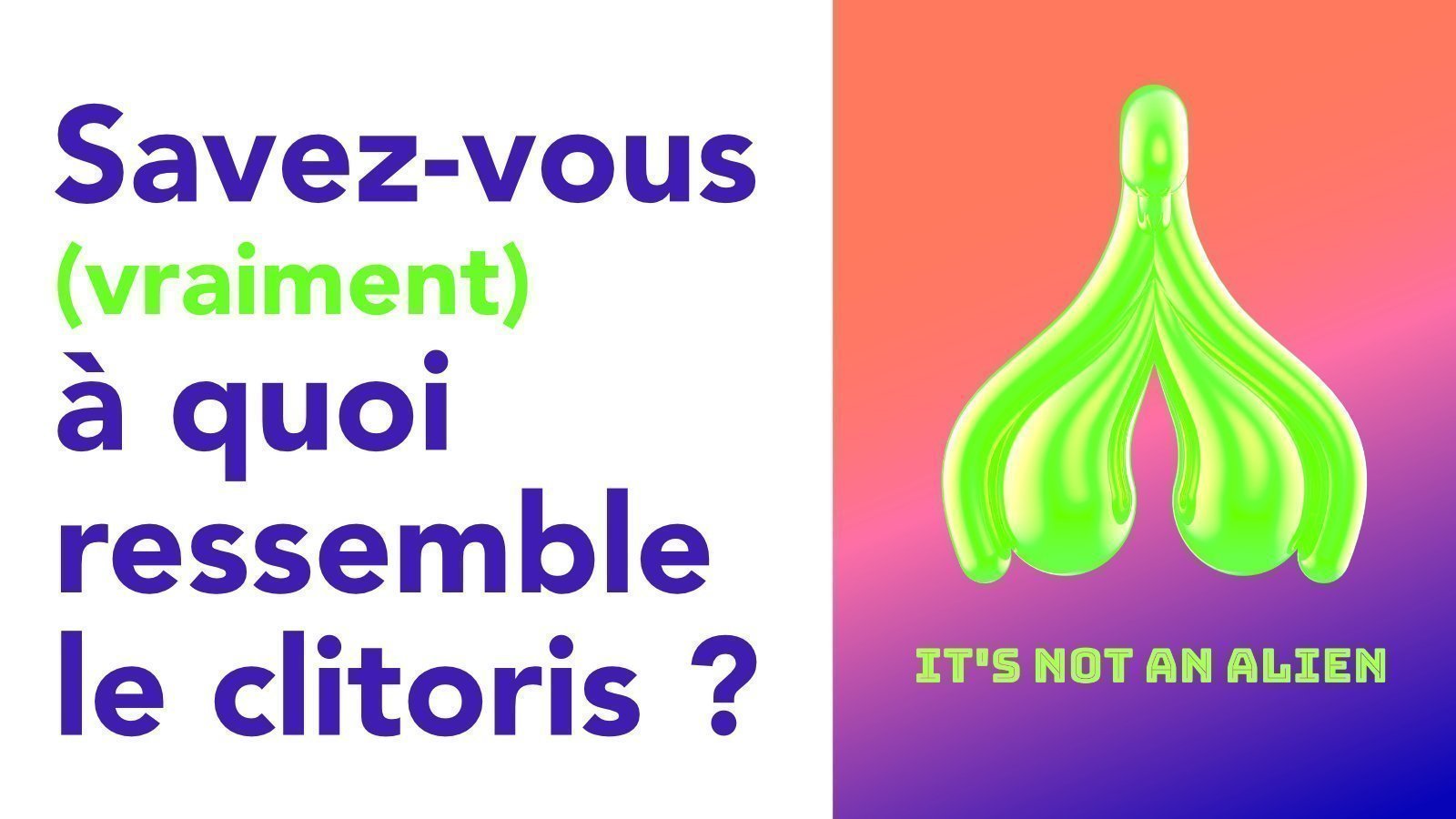 manondhec's tweet card. Pour un enseignement du clitoris dans tous les manuels de SVT