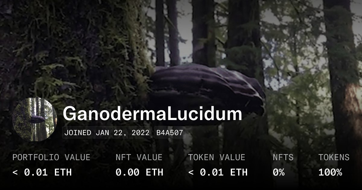 GanodermaLucid9's tweet card. Check out GanodermaLucidum's NFTs and tokens on OpenSea, the largest marketplace for crypto collectibles.