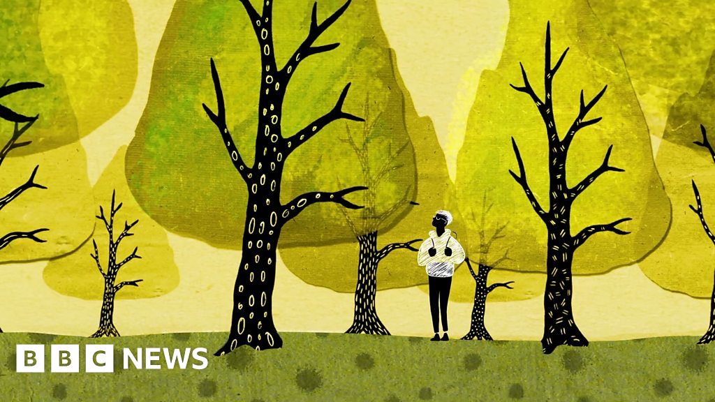 rallyforrivers's tweet card. Plants share resources using an underground network called the "Wood Wide Web".