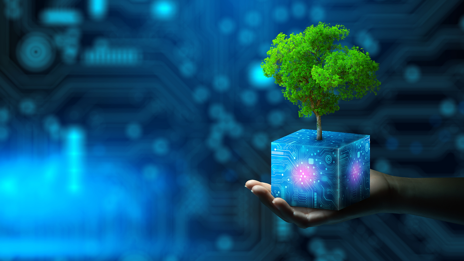 LithiumPowerLPI's tweet card. Andrew Phillips, Executive Director and CFO at Lithium Power International, explores lithium’s vital role in the road to clean energy.