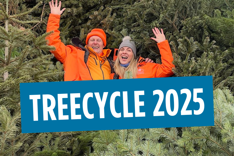 BarnsleyHospice's tweet card. Having a real tree for Christmas is amazing until it comes to January and you have to deal with the stress of finding pine needles in your car for the next 12 months after a trip to the tip!