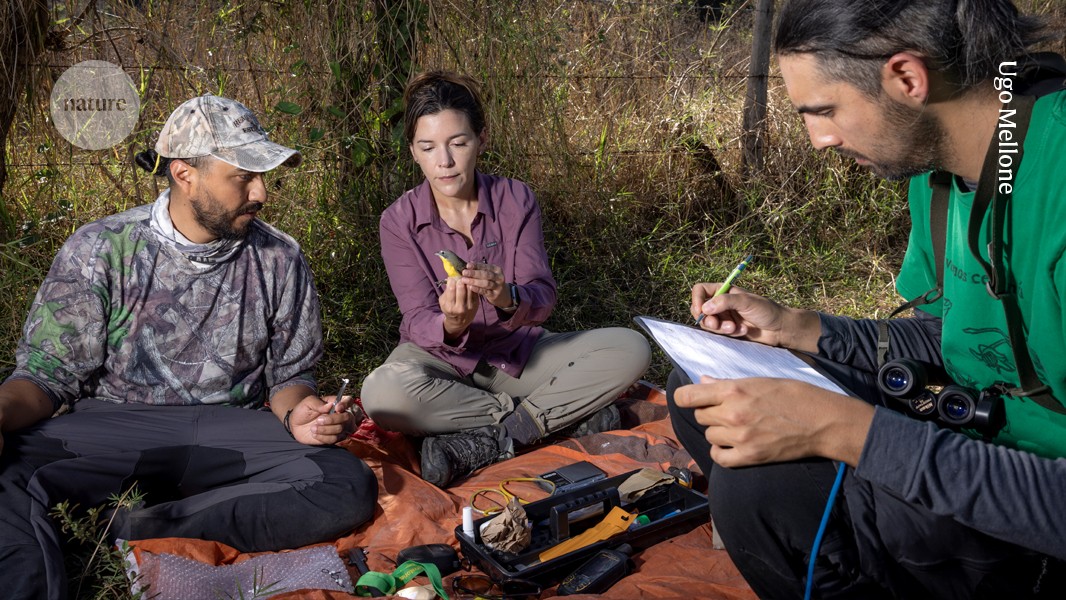 AnaCardellina's tweet card. Nature - Ornithologist Ana Gonzalez studies migration patterns and works with local scientists to protect threatened birds.
