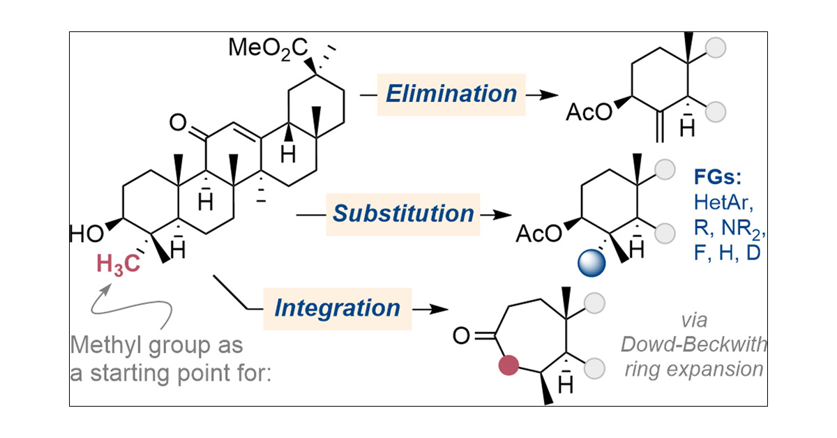 Tsogoeva_Group's tweet card. Methyl groups are ubiquitous in natural products and biologically active compounds, but methods for their selective transformation in such structures are limited. For example, terpenoids contain many...