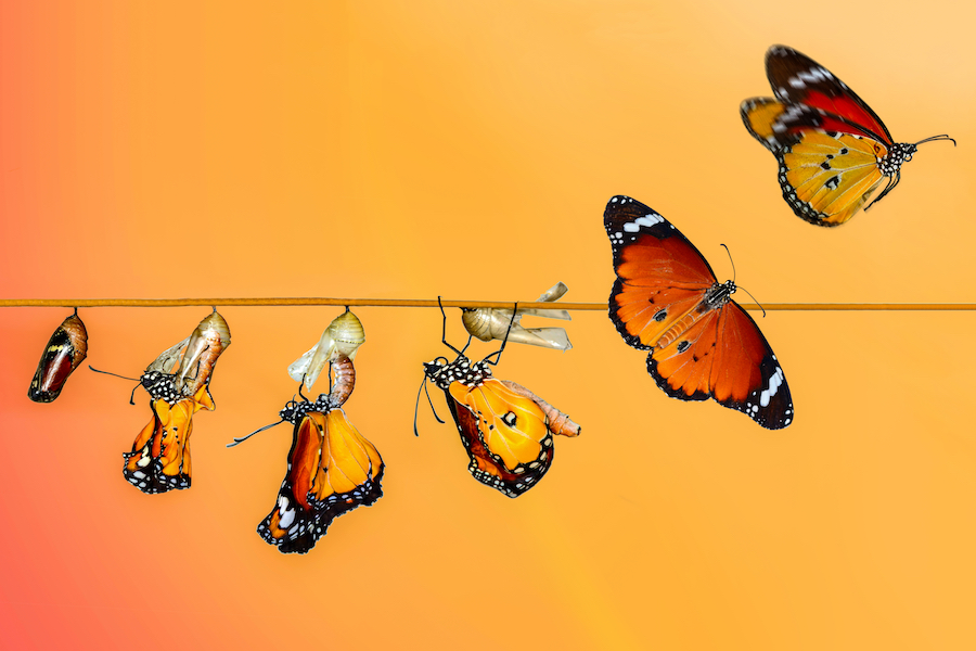 ScottKirsner's tweet card. Generative AI-based tools are going to radically reshape how corporations generate growth — whether that growth is linked to the core business, or to further-out adjacent and transformational...