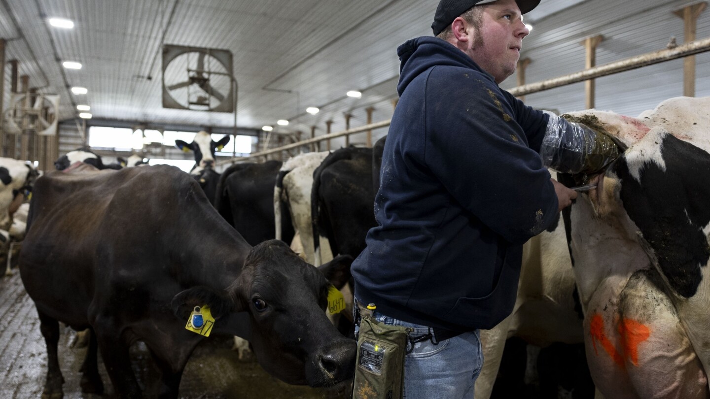 FarmPolicy's tweet card. An increasing number of American farmers are turning away from growing organic. America’s certified organic acreage fell almost 11% between 2019 and 2021.