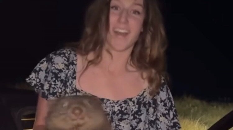 barbarafavafmx's tweet card. Ban sammystrays_somewhere from Australia for taking a baby wombat from its mother