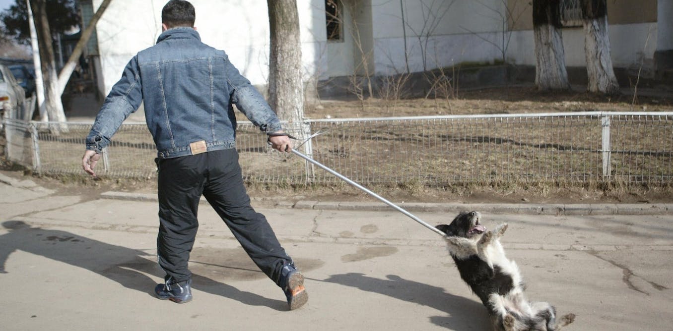 Psycscience's tweet card. « Qui n’aime pas les animaux n’aime pas les gens ». La maxime populaire n’est peut-être pas dénuée de sens : maltraitance animale et violence envers ses semblables semblent effectivement liées.