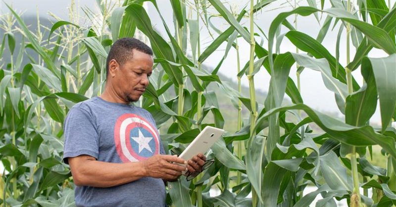 Tweet card summary image