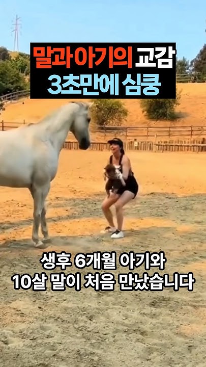 firelabs_'s tweet card. 힘들었던 하루, 작은 위로 받고 가세요 🐴